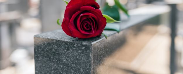 Rose placed on top of a headstone