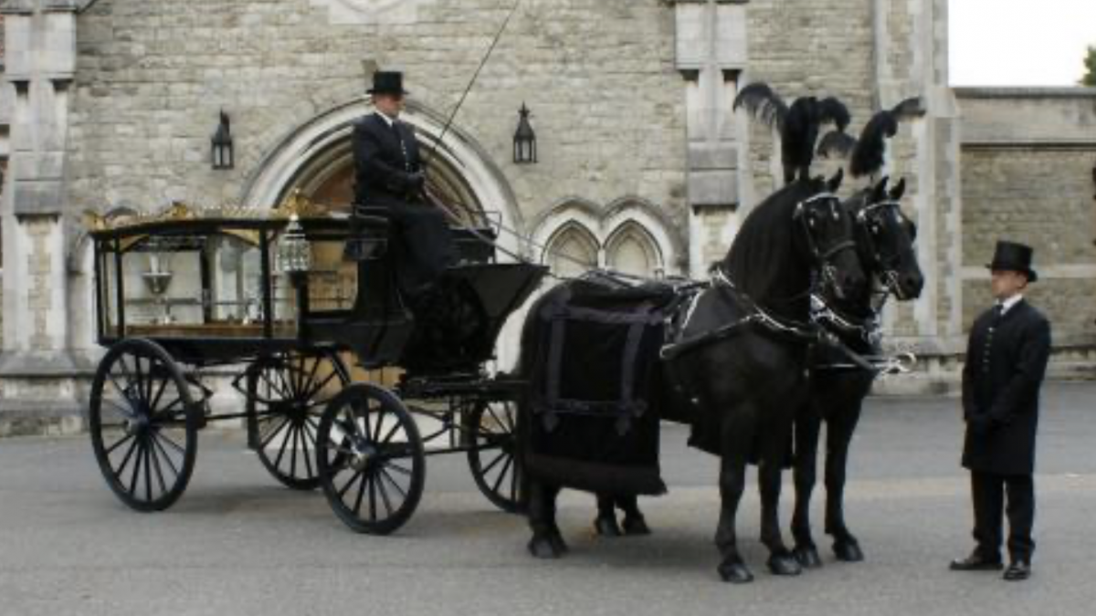 Black horse drawn carriage