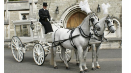 White horse drawn carriage outside church