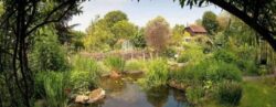 Abbey Physic Gardens Faversham