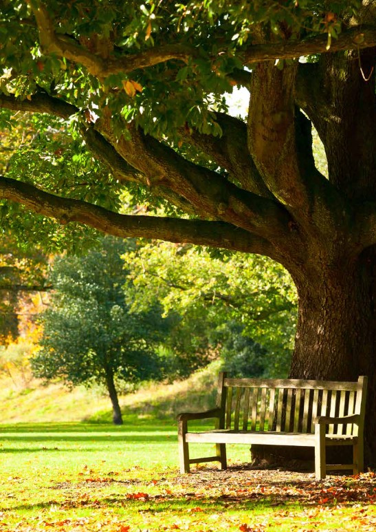 Memory Bench